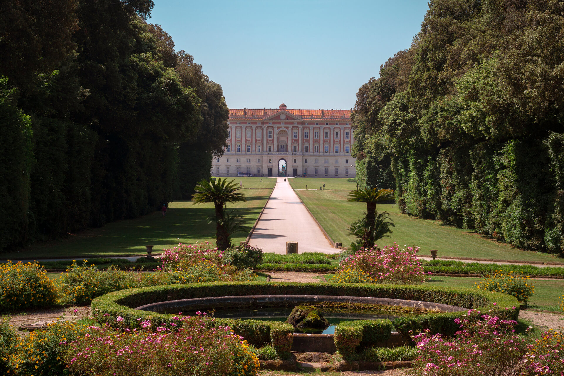 flores-creciendo-en-el-jardin-contra-el-edificio (1)